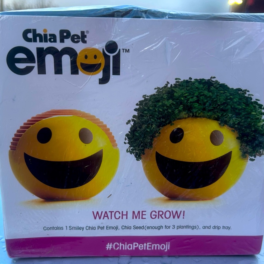 Sealed smiley emoji chia pet